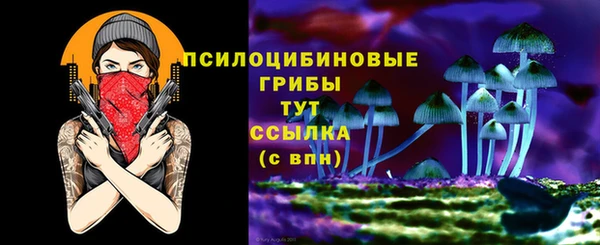 молекула духа Армянск