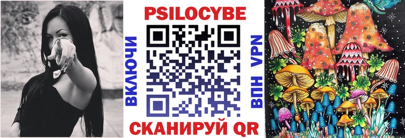 где продают наркотики  Дмитров  Псилоцибиновые грибы Magic Shrooms 