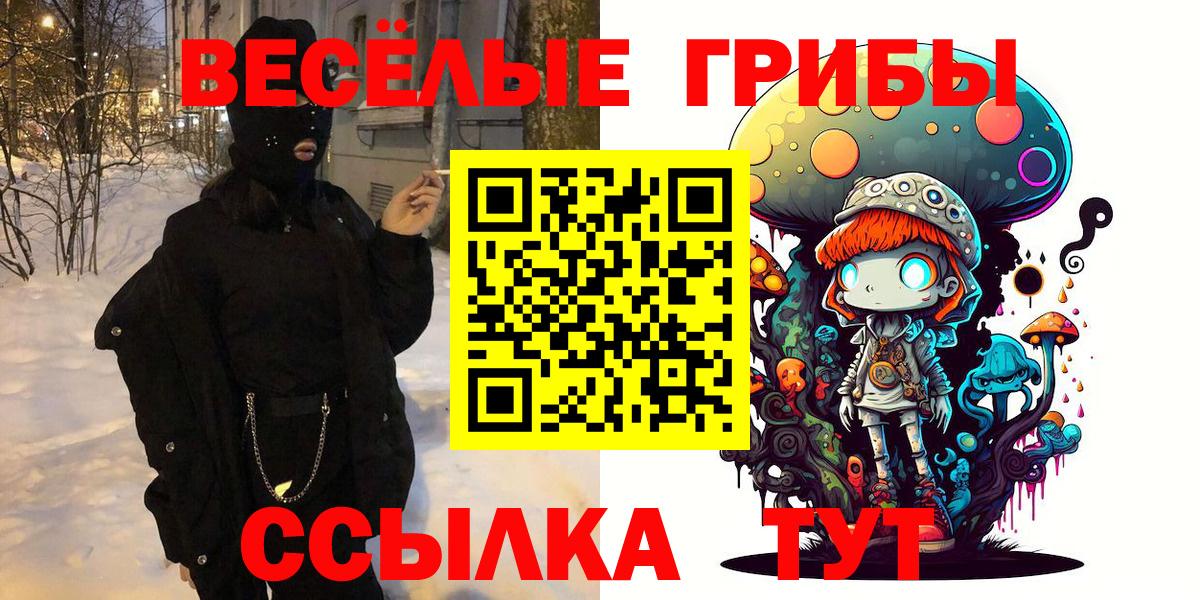 Галлюциногенные грибы Psilocybe Дмитров